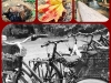 Collage_