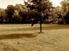 DSC00601a