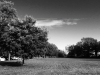 DSC00605