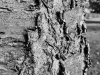 IMG_20171005_100601