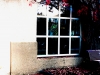 image1 (1)