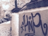 image1 Kopie
