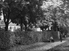 image9